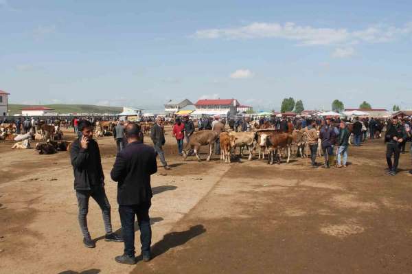 Ağrı'da Canlı Hayvan Borsası 10 Eylül'de açılacak