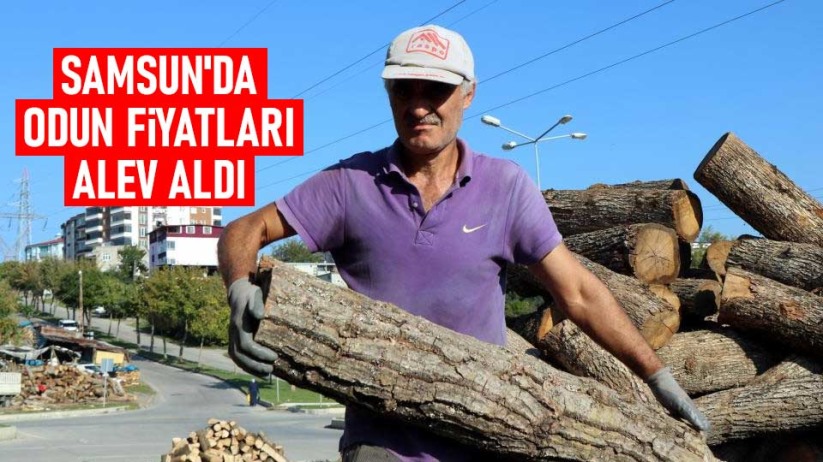 Samsun'da büyük fabrikalar odunu ateşliyor