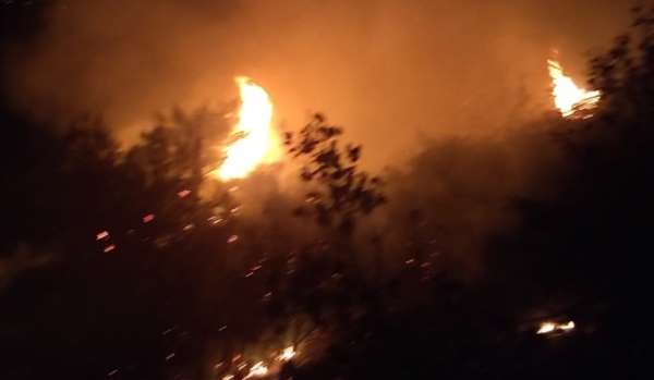 Lübnan'ın kuzeyindeki orman yangınına ordu müdahalesi