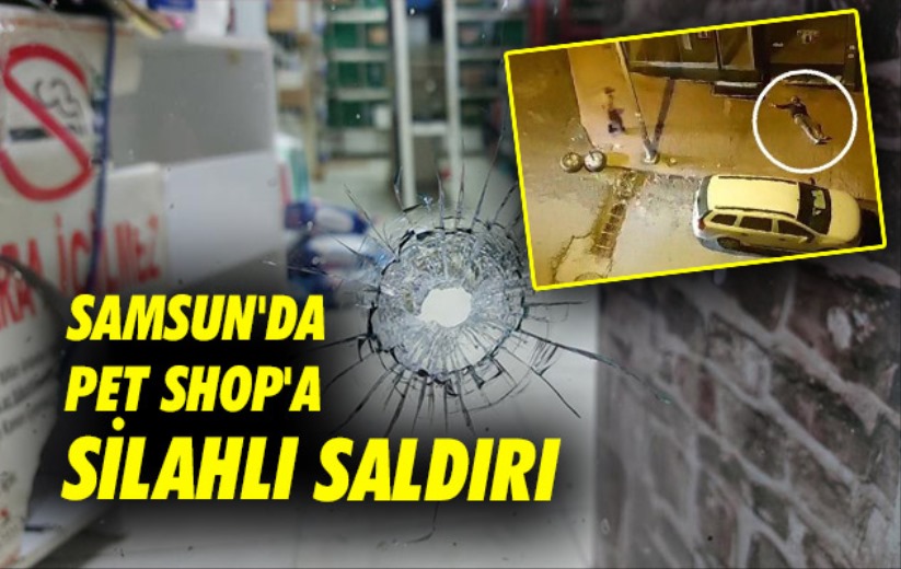 Samsun'da pet shop'a silahlı saldırı