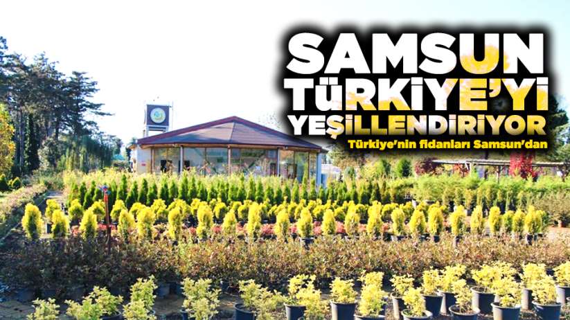 Samsun Türkiye'yi yeşillendiriyor