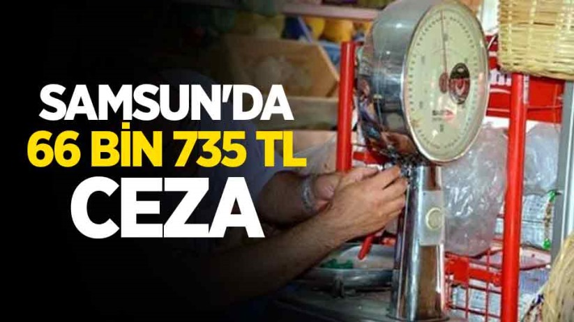 Samsun'da 66 bin 735 TL ceza