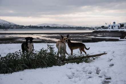 Avrupa'da soğuk hava 13 ölüme neden oldu