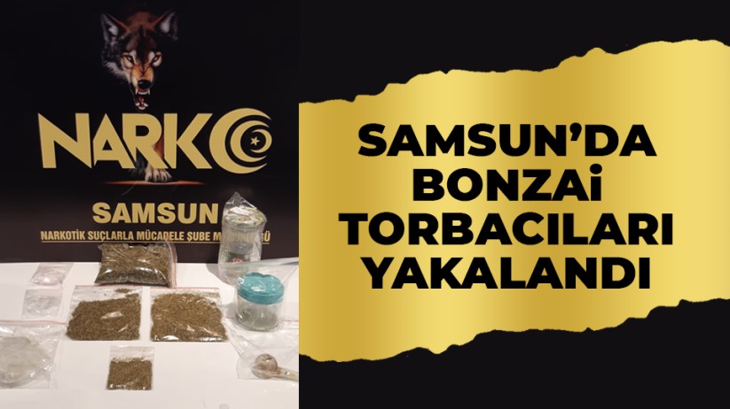 Samsun'da bonzai torbacıları yakalandı