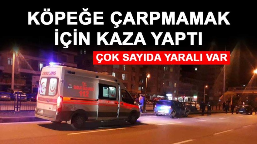 Köpeğe çarpmamak için kaza yaptı: 6 yaralı