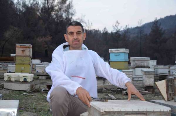 Ana arı üretiminde büyük başarı: Bir arı kovanıyla hobi olarak başladı, şimdi Türkiye'nin her yerine koloni gö