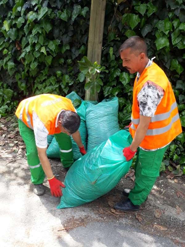 Sapanca'da çevre temizlik çalışmaları devam ediyor 
