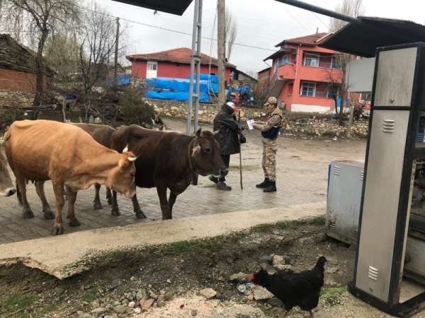 Hırsızlık ve dolandırıcılığa karşı ahır ve meraları gezdiler