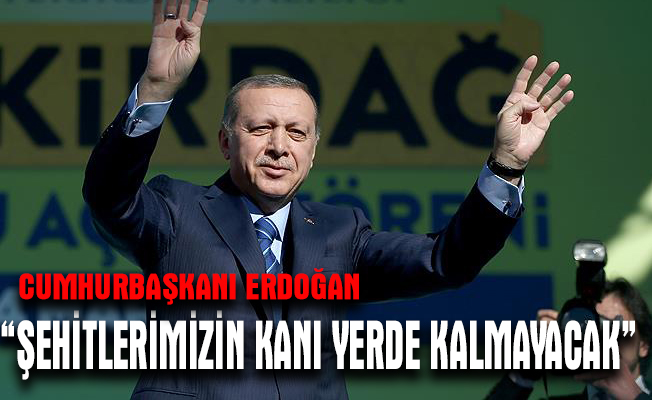 Cumhurbaşkanı Erdoğan, Tekirdağ'da toplu açılış töreninde halka hitap etti