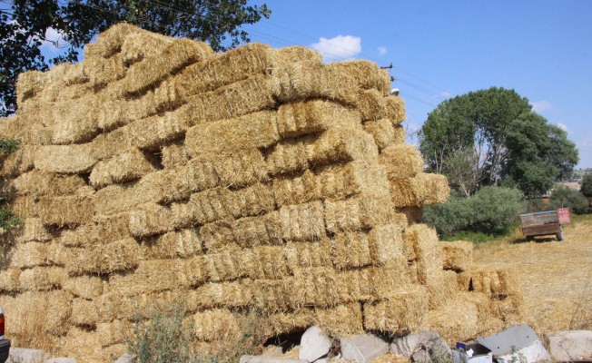 Havza`da saman fiyatları yükseldi