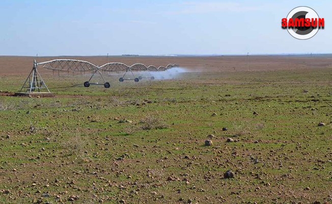 Mera ıslahı ve amenajmanı projesi