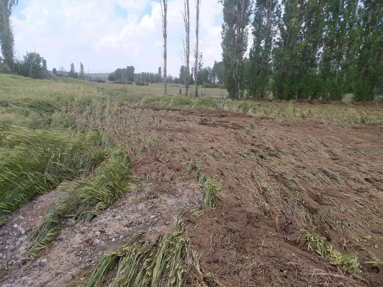 Sağanak yağış ve dolu ekili tarlaları vurdu
