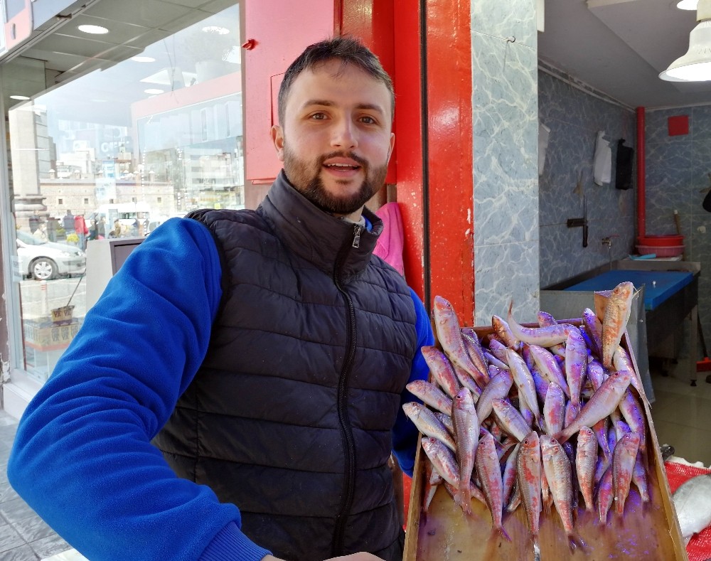 Sezonun son balıkları 15 liradan satılıyor
