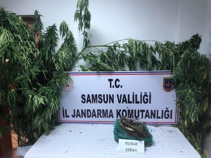 Samsun'da uyuşturucu operasyonları: 15 gözaltı
