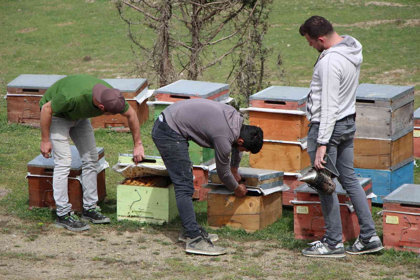Binlerce arının arasında korkusuzca dolaşıyor
