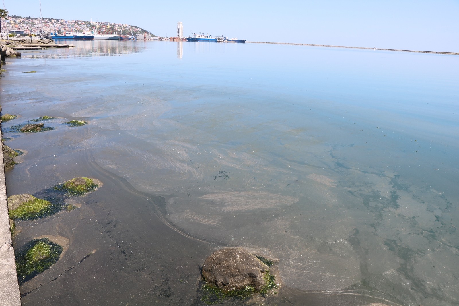 Samsun Limanı'ndaki kirlilik büyüyor
