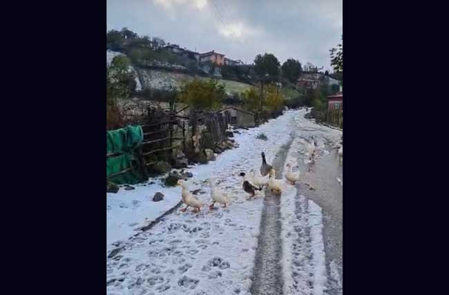 Samsun'da yılın ilk karı yağdı
