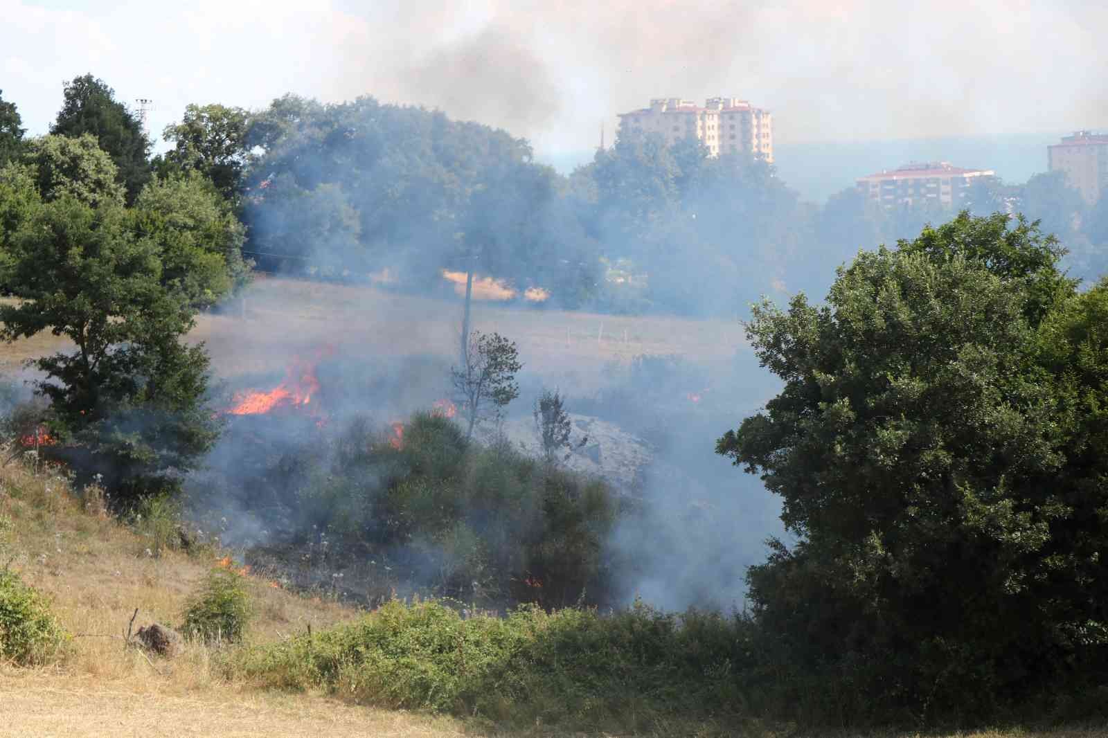 Samsun'da örtü yangını: 3 dönüm alan zarar gördü
