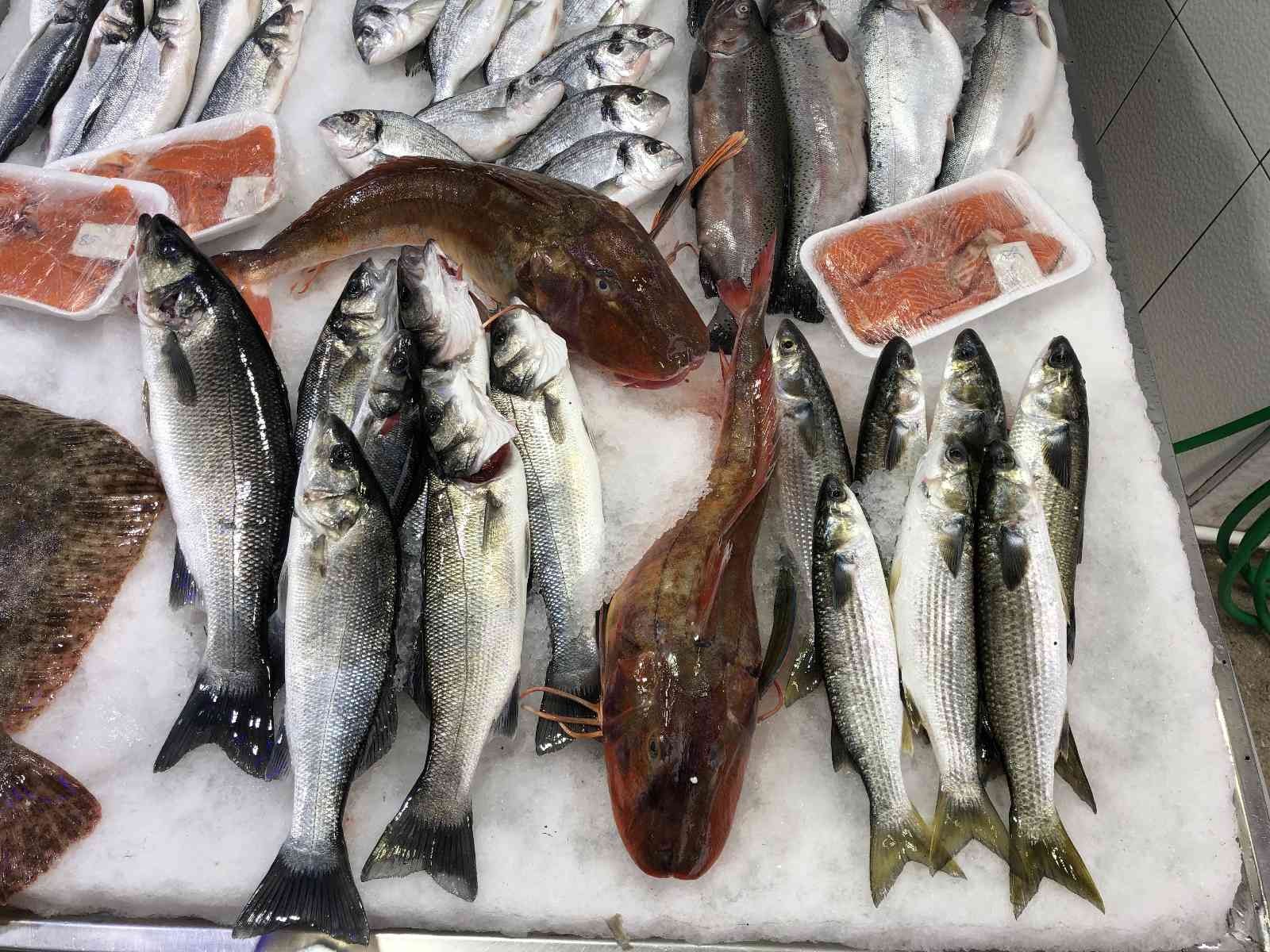 Sinop'ta nadir bulunan kırlangıç balıkları, kilosu 250 liradan satılıyor
