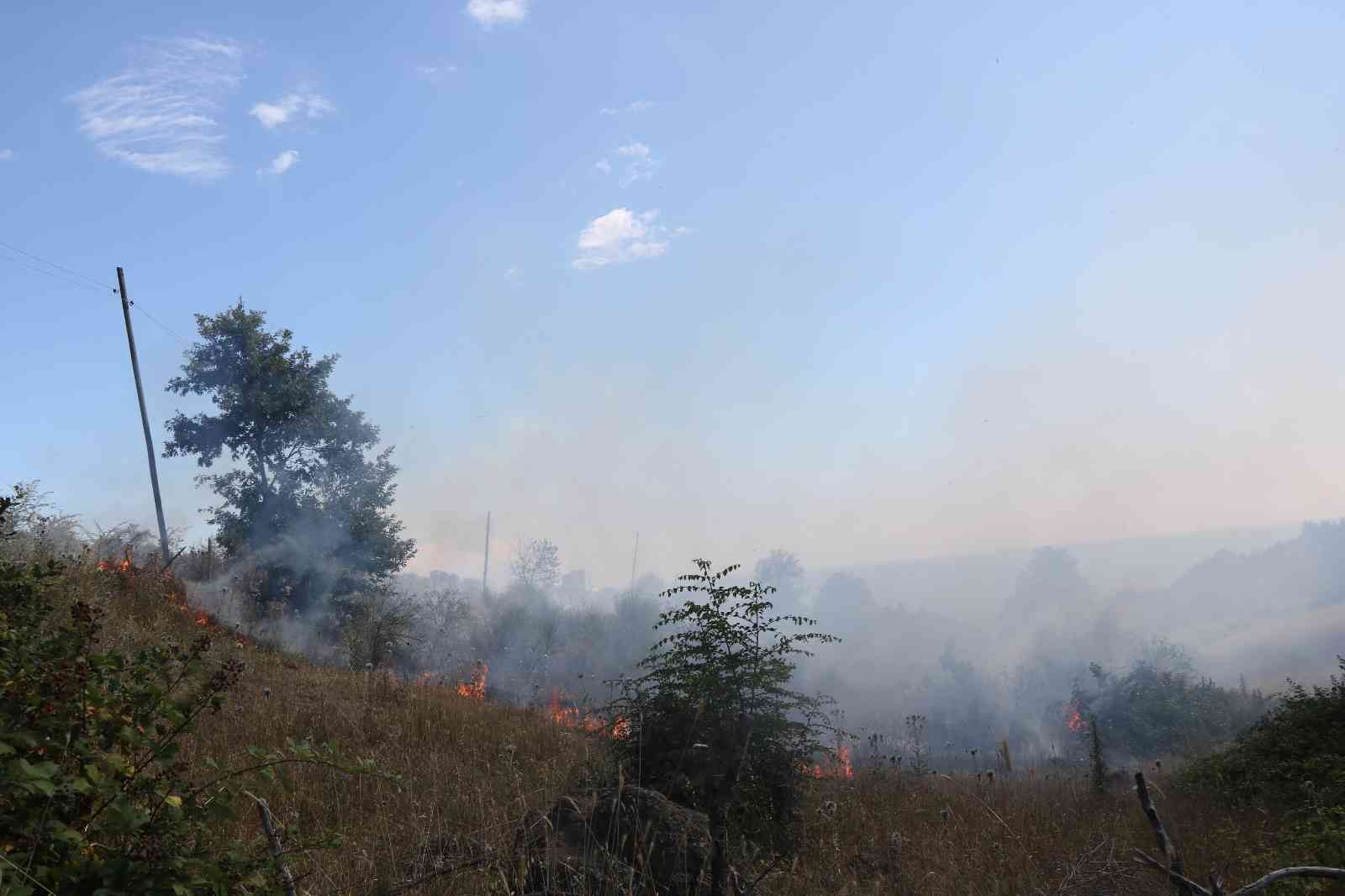 Samsun'da örtü yangını: 3 dönüm alan zarar gördü
