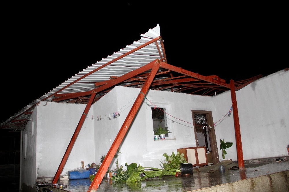 Fethiye'de fırtına ve yağış evlerin çatısını ve seraları uçurdu, ağaçları devirdi
