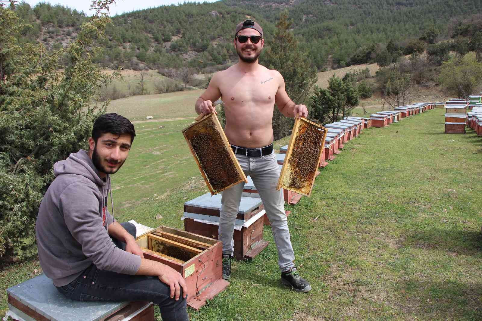 Binlerce arının arasında korkusuzca dolaşıyor
