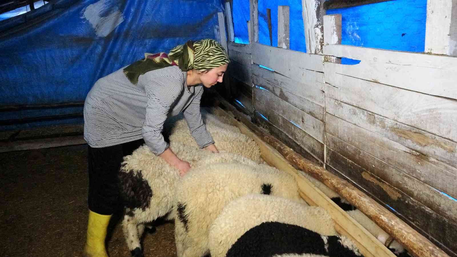 Cumhurbaşkanı Erdoğan'ın ortaklık teklif ettiği genç kadın, azmi ile örnek oluyor
