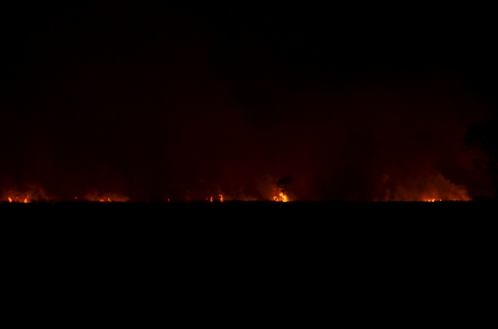 Samsun'da sazlık yangını
