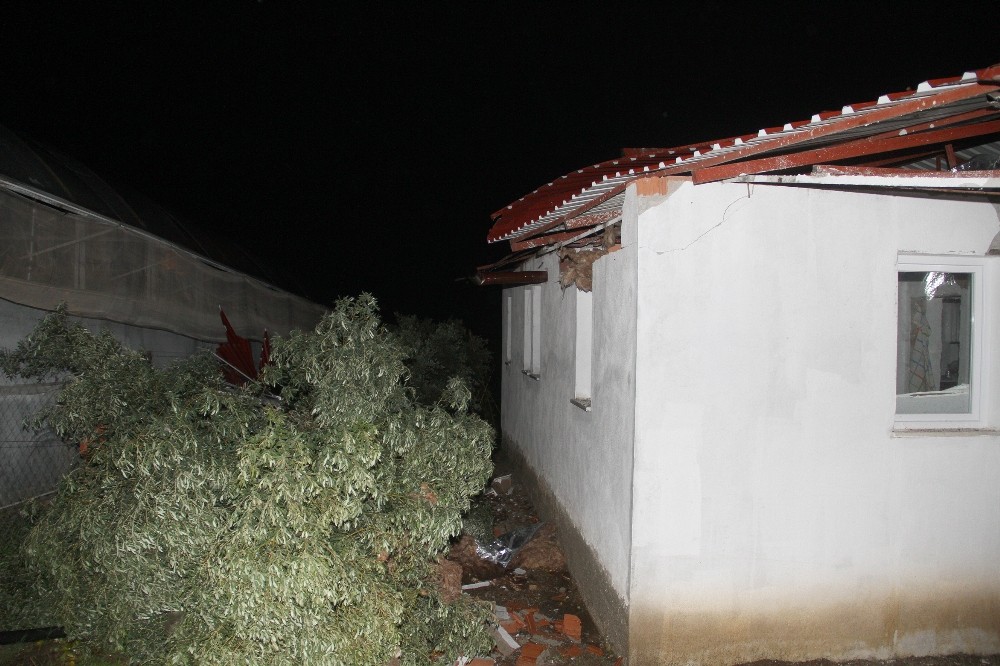 Fethiye'de fırtına ve yağış evlerin çatısını ve seraları uçurdu, ağaçları devirdi
