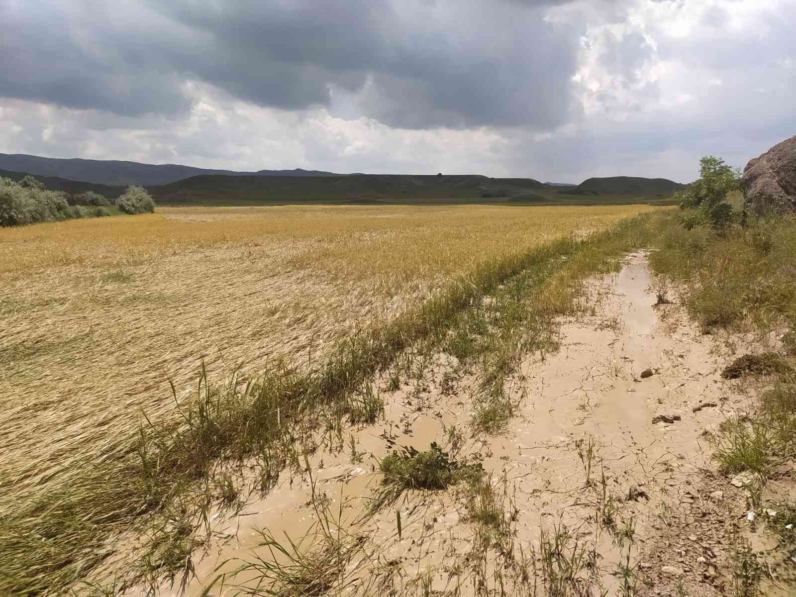 Sağanak yağış ve dolu ekili tarlaları vurdu
