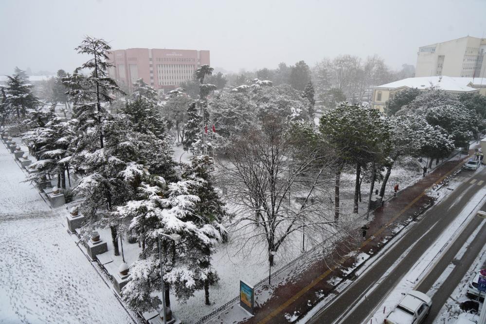 Samsun'da hayat dondu!
