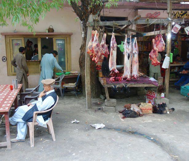 120 yıl yaşıyorlar! Bilim adamları bu Türkleri inceliyor 