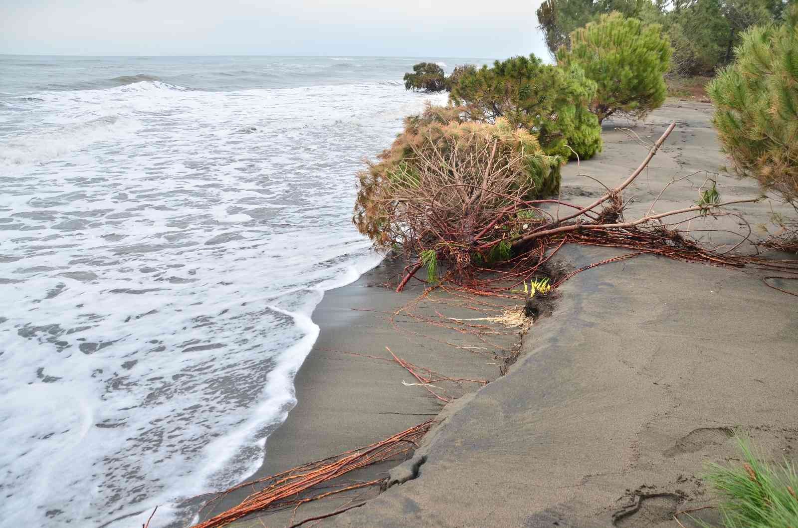 Hırçın dalgalar 150 metre kumsalı yuttu, evler tehdit altında
