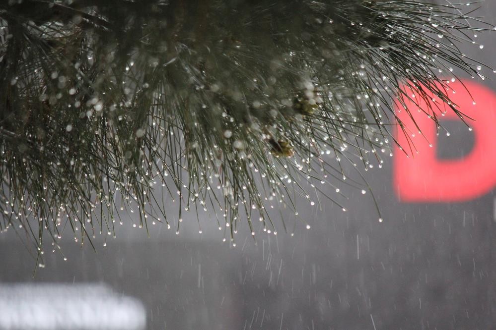 Samsun'da metre kareye 31,8 kg yağış düştü, dereler coştu
