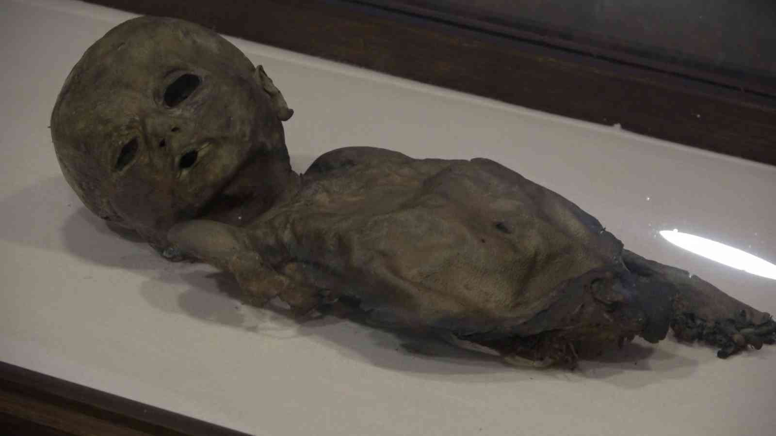 Türkiye'nin en büyük mumya ailesi
