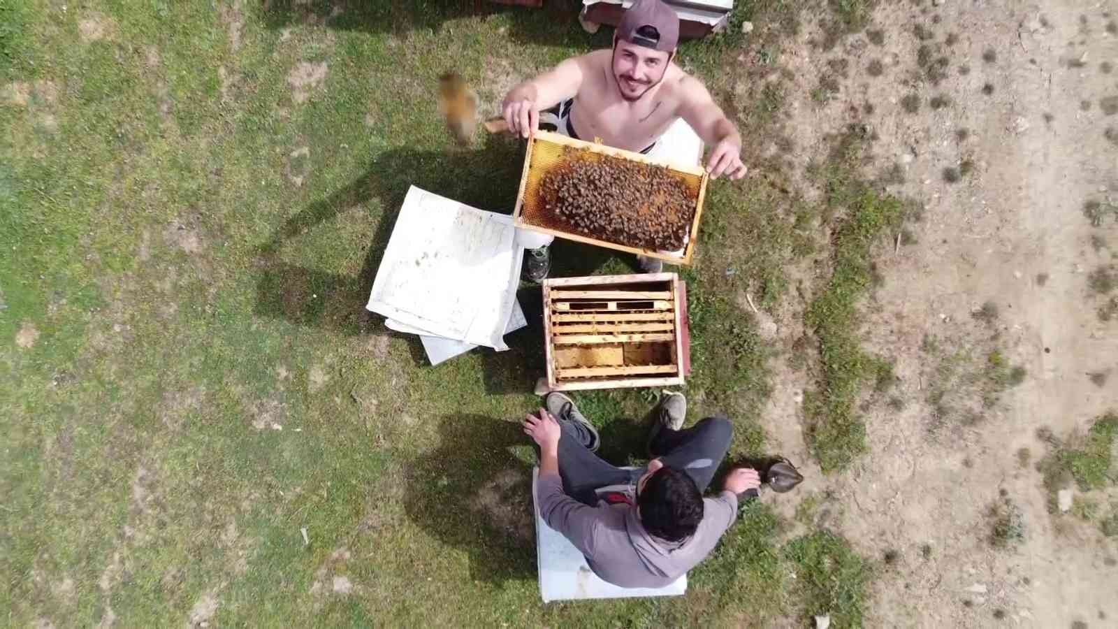 Binlerce arının arasında korkusuzca dolaşıyor
