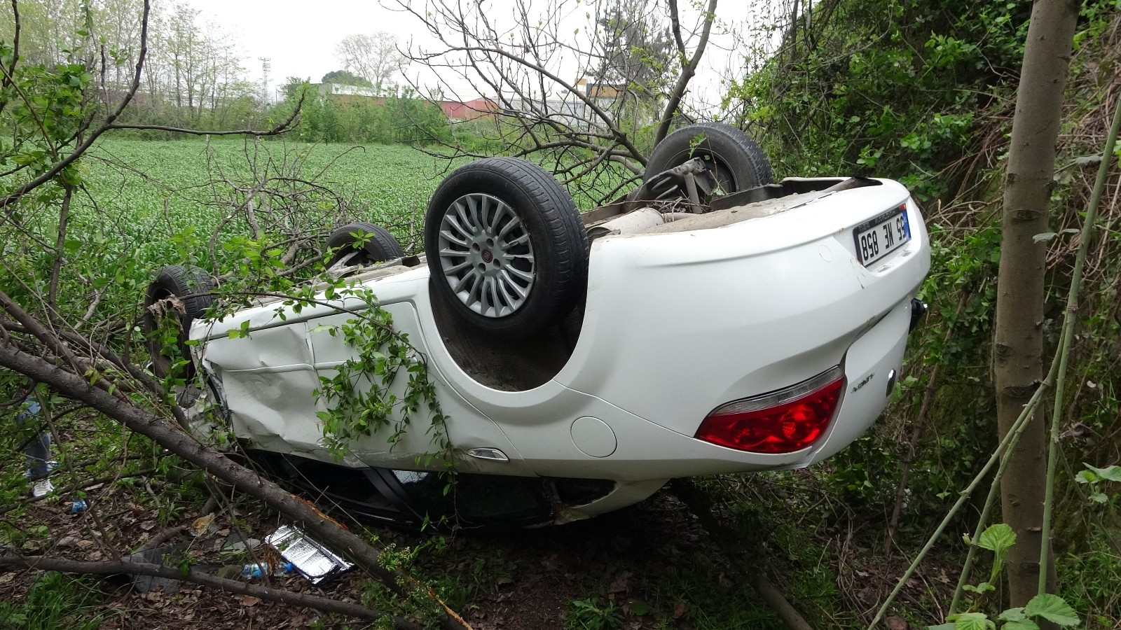 Samsun'da şarampole yuvarlanan araçtaki aileyi ölümden incir ağacı kurtardı
