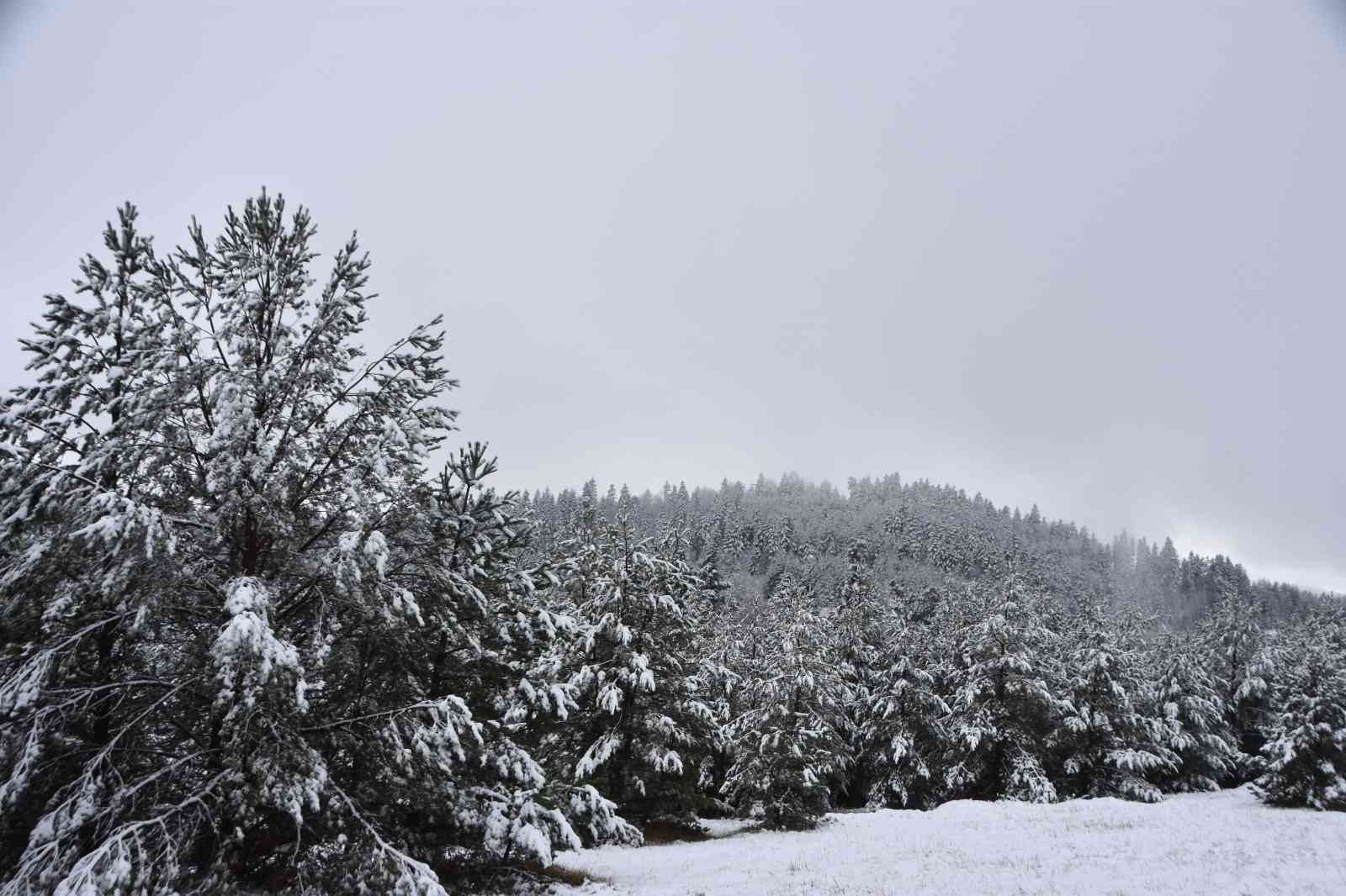 Sinop'a mevsimin ilk karı düştü
