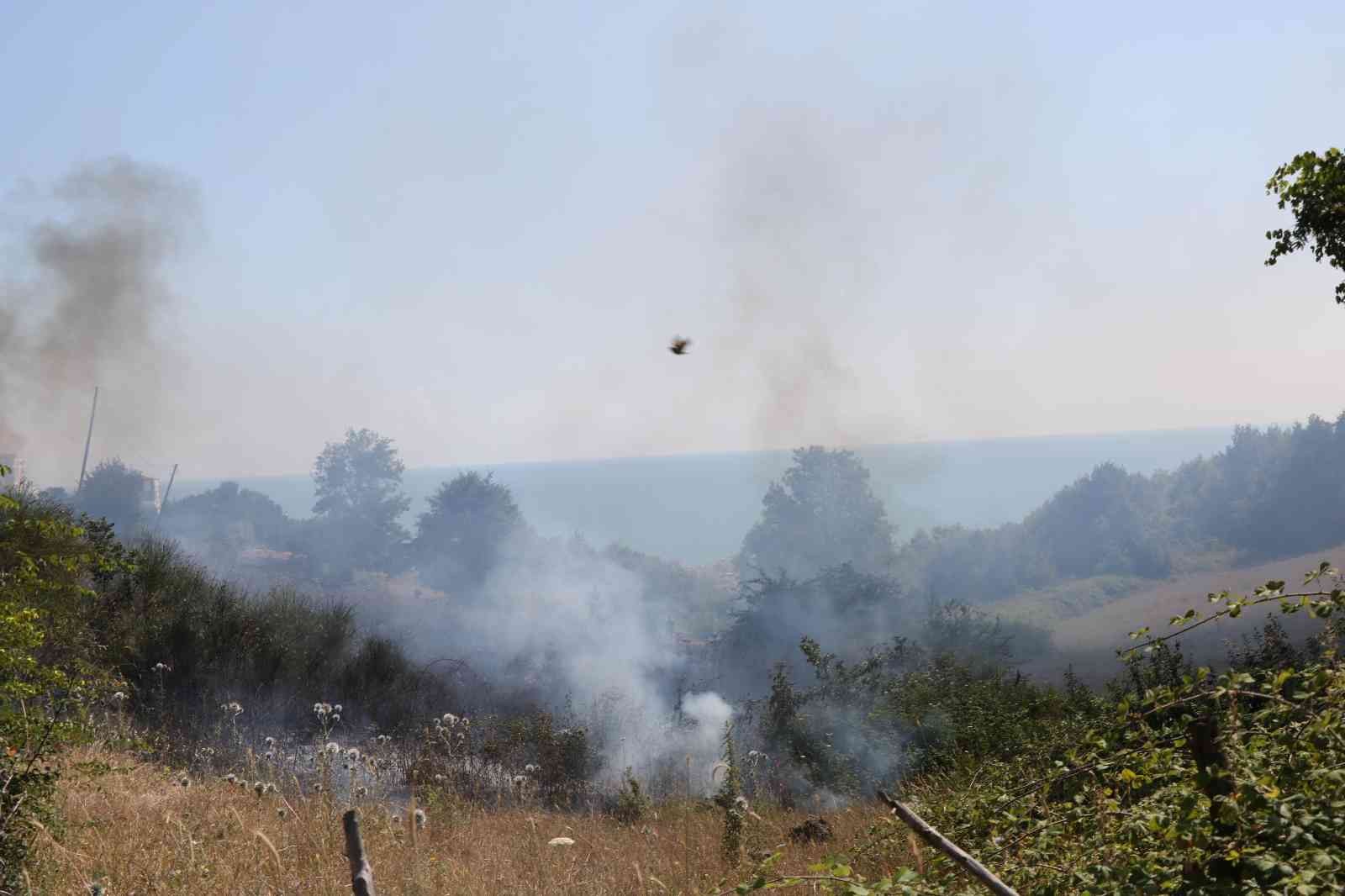 Samsun'da örtü yangını: 3 dönüm alan zarar gördü
