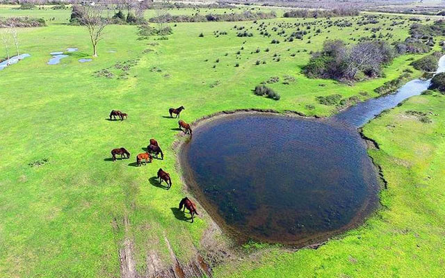 Samsun'da Gezilecek tarihi yerler 
