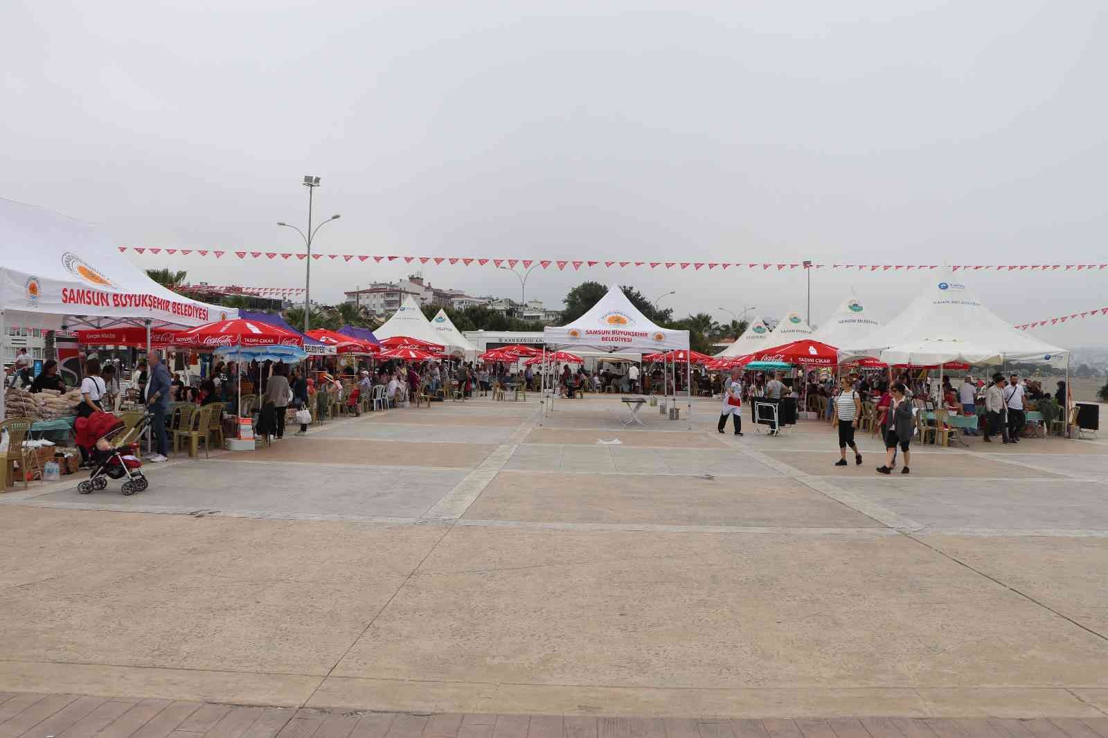 Yöresel Ot Yemekleri Festivali: 1878 çeşit ot tanıtıldı
