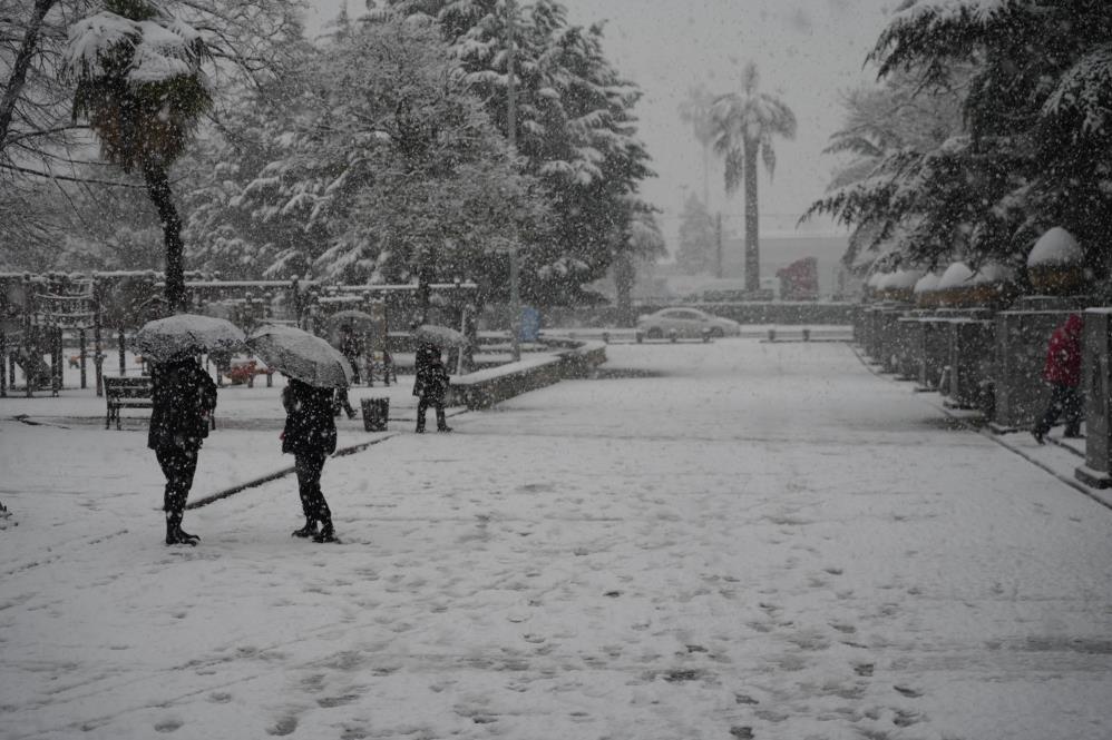 Samsun'da hayat dondu!