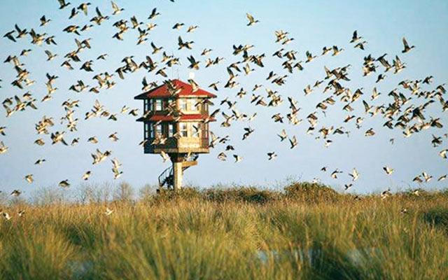 Samsun'da Gezilecek tarihi yerler 