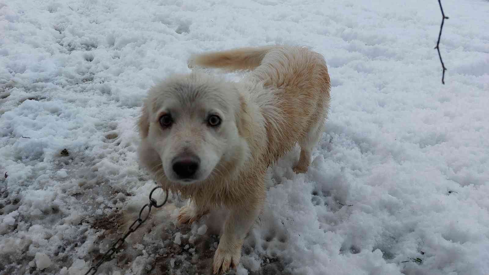 Samsun'da yağan kar kartpostallık görüntüler oluşturdu
