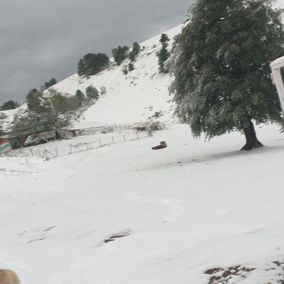 Samsun'da 23 Mayıs'ta kar sürprizi
