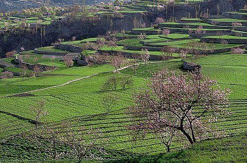 120 yıl yaşıyorlar! Bilim adamları bu Türkleri inceliyor 