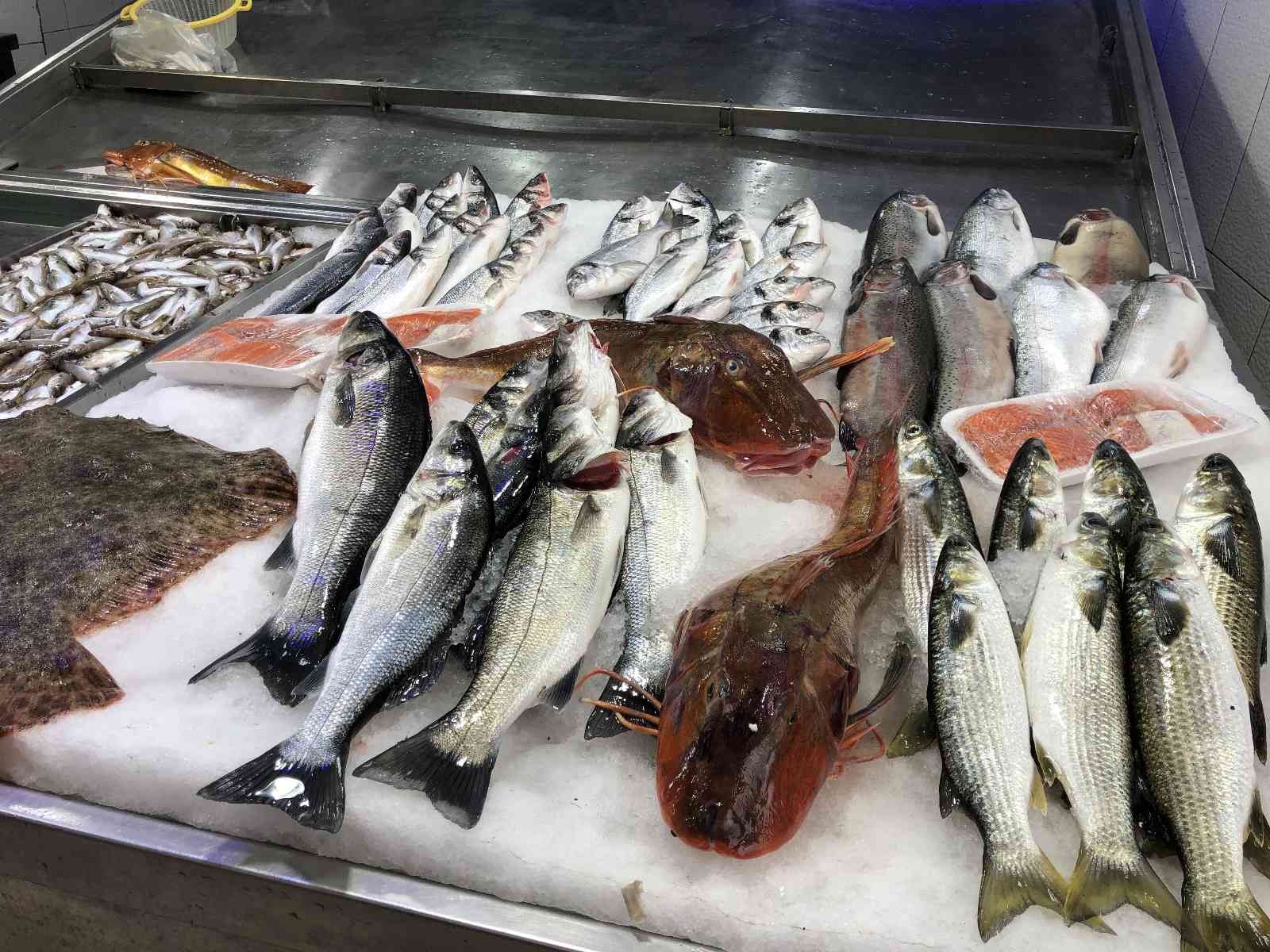 Sinop'ta nadir bulunan kırlangıç balıkları, kilosu 250 liradan satılıyor
