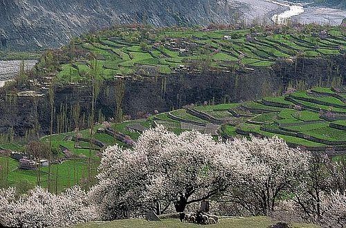 120 yıl yaşıyorlar! Bilim adamları bu Türkleri inceliyor 