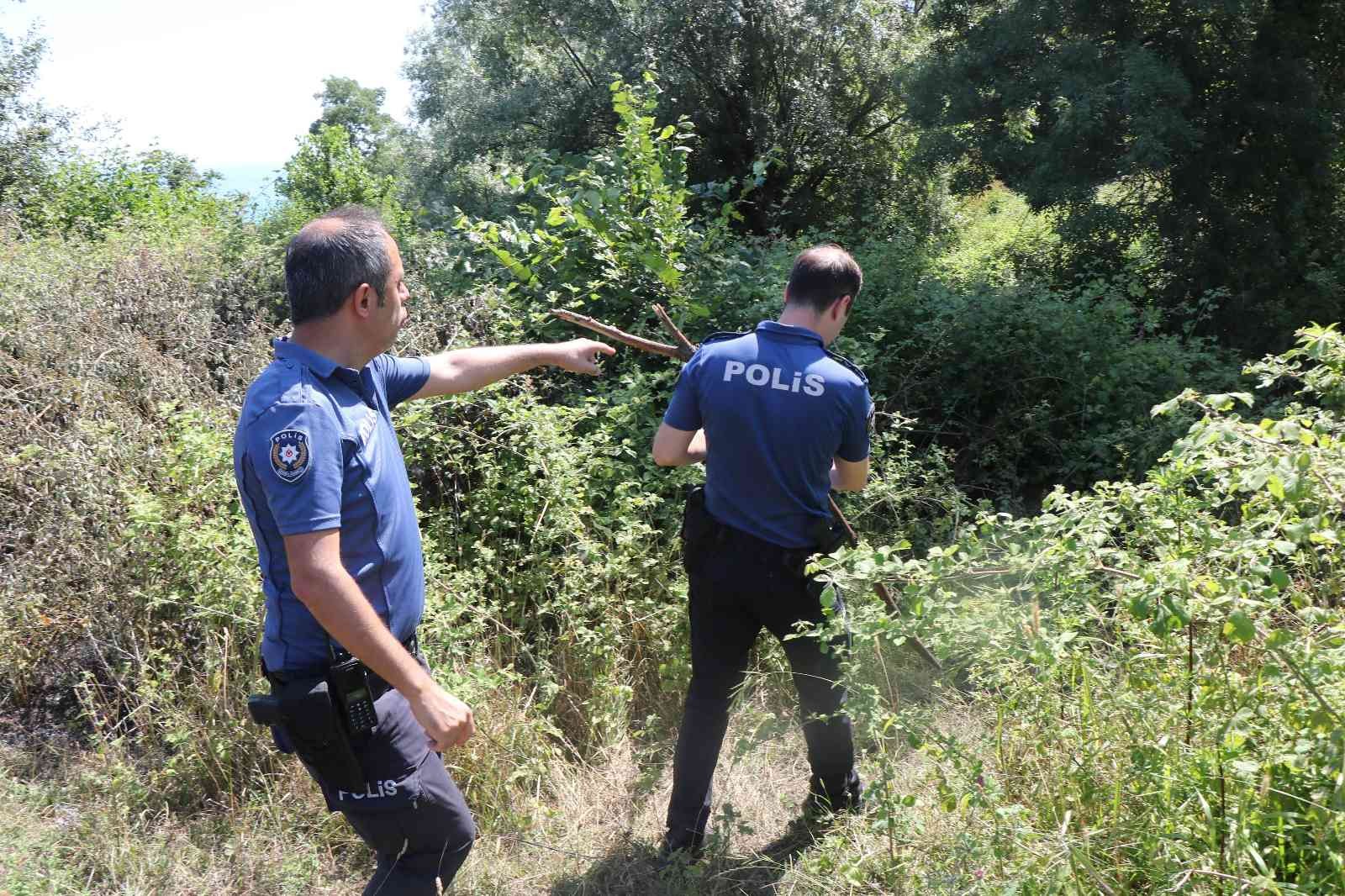 Samsun'da örtü yangını: 3 dönüm alan zarar gördü
