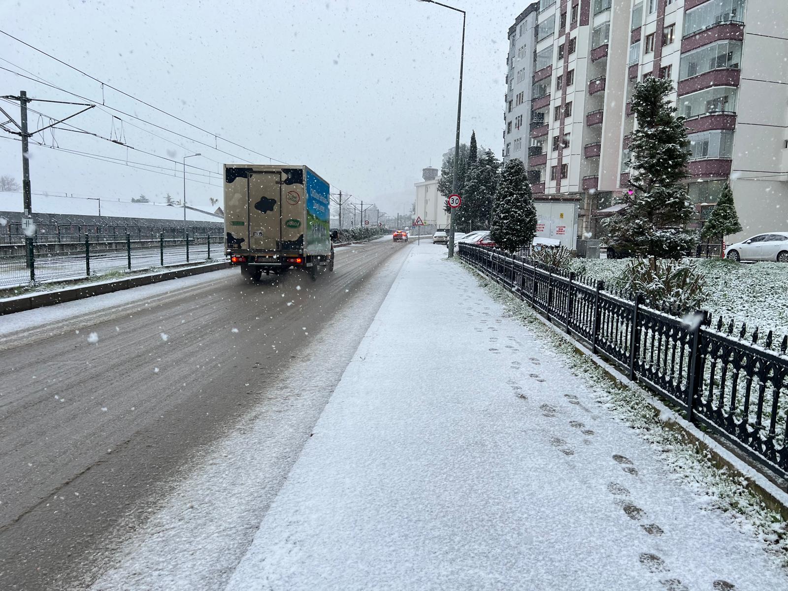 Samsun'da hayat dondu!